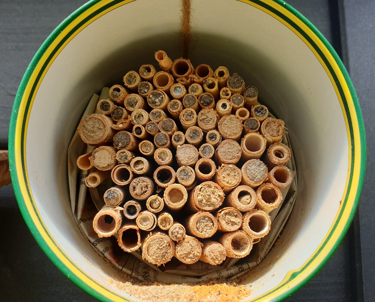 Insektenhotel