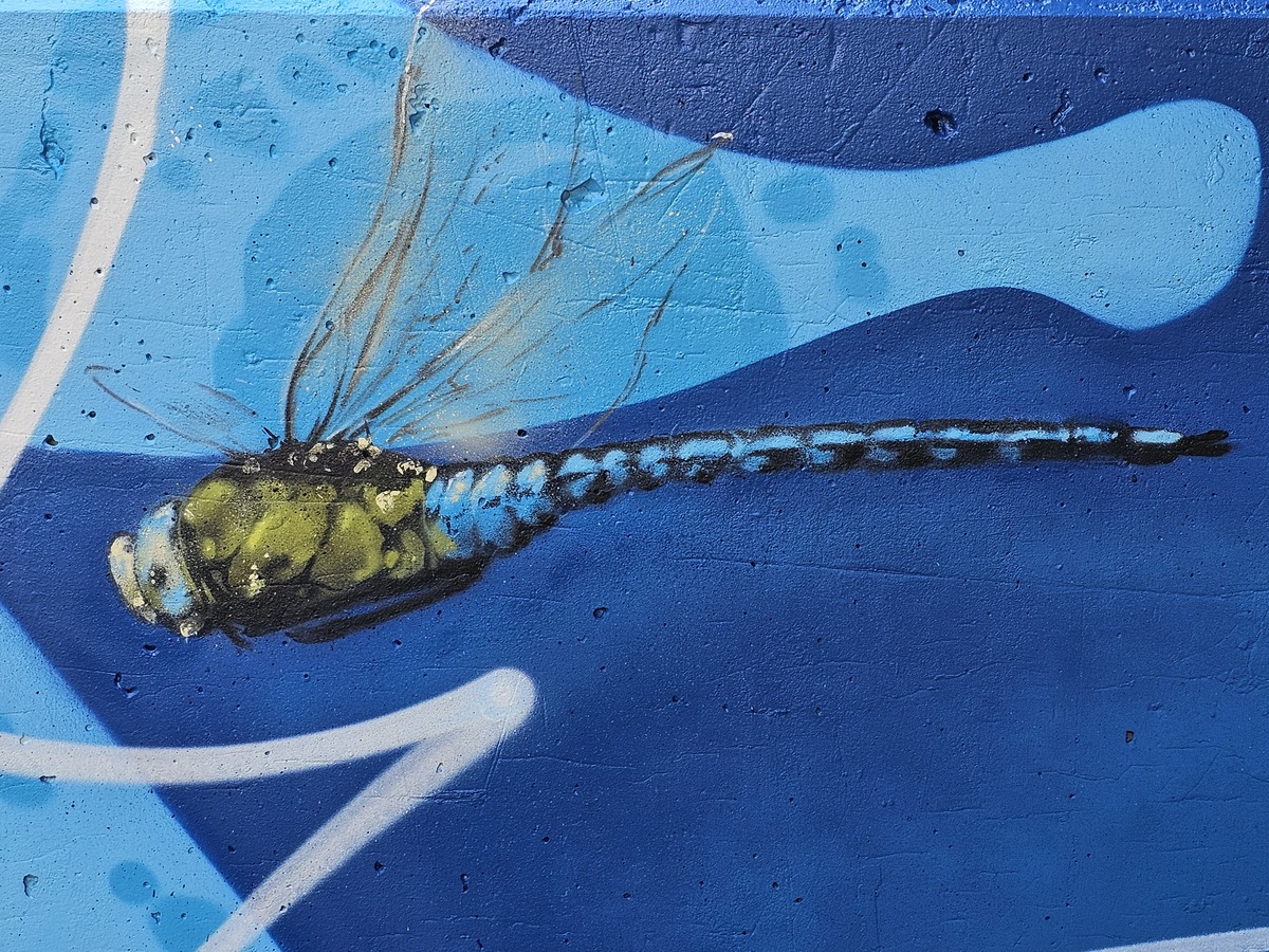 Libelle Kunst