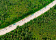 Straße durch den Wald mit Autos und LKWS 
