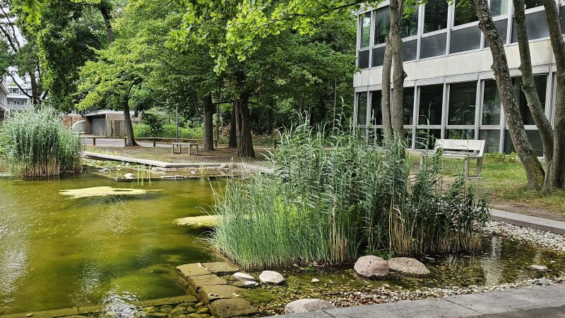 Teich mit Wasserpflanzen, Uferbepflanzung und Bäumen neben einem modernen Gebäude.