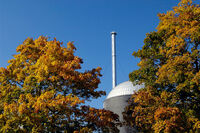 Herbstlaub vor Kühlturm unter blauem Himmel.